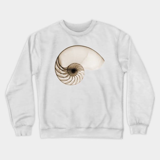 Sepia Seashell Crewneck Sweatshirt by hamptonstyle